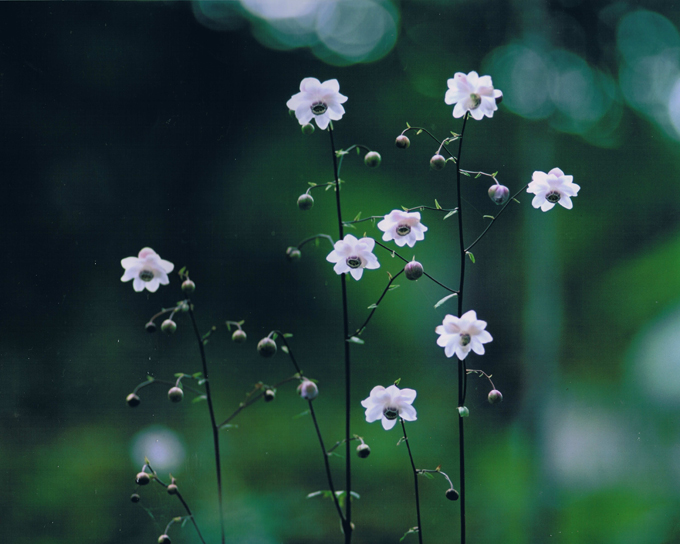 �f�W�^������@�ŗD�G��