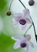 �f�W�^������@�~�s�ό������