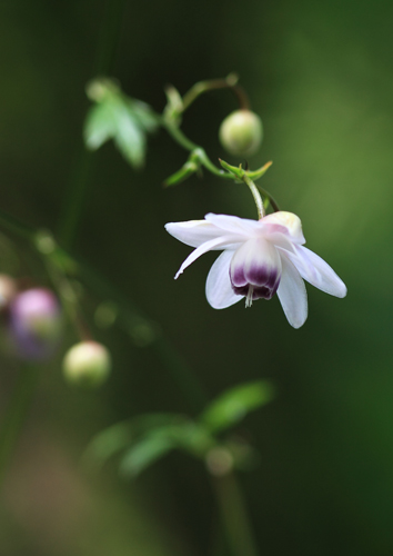 �u�X�̐���v