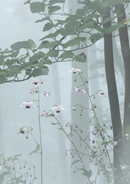 �f�W�^������@�D�G��