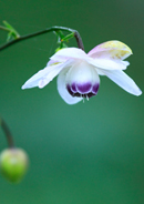 �f�W�^������@�D�G��