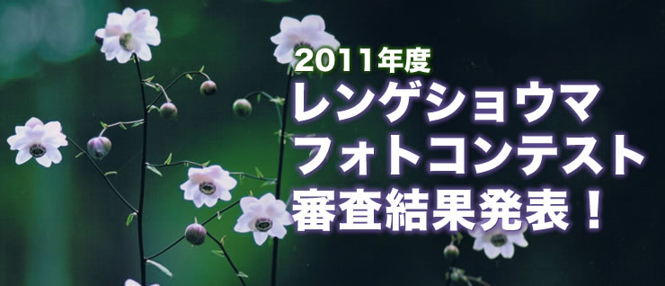 �����Q�V���E�}�t�H�g�R���e�X�g�R�����ʔ��\�I