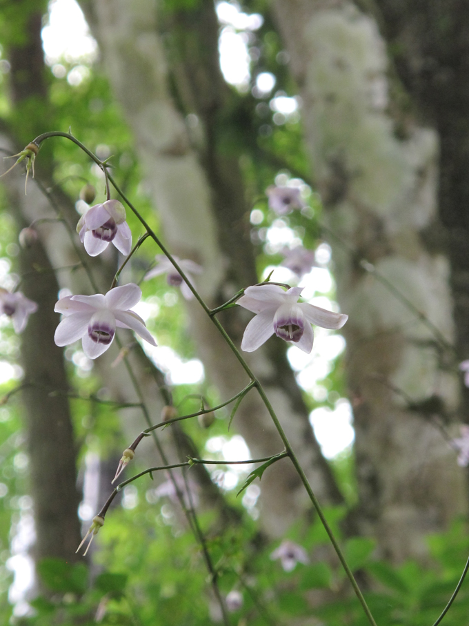 �f�W�^������@�ŗD�G��