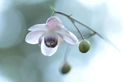 ��v�e�B�g�t�������ԁv