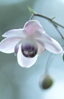 �f�W�^������@�~�s�ό������