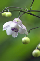 �f�W�^������@��x�o�R�S����