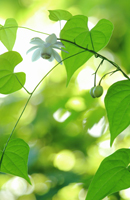 �f�W�^������@��x�R�ό������