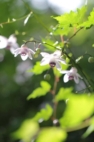 �u�~�^�P�O�o���v