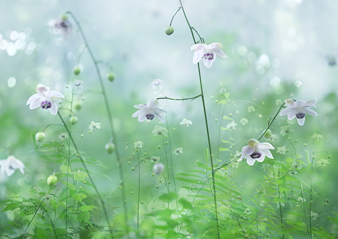 �f�W�^������@�ŗD�G��