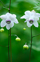 �f�W�^������@�~�s�ό������