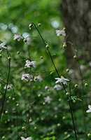 �f�W�^������@��x�o�R�S����