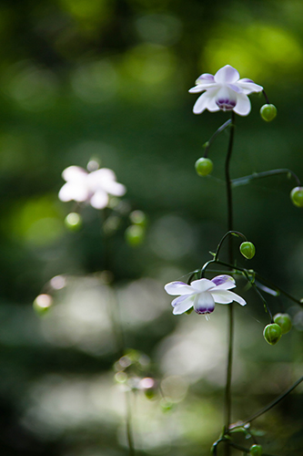 �u�������v