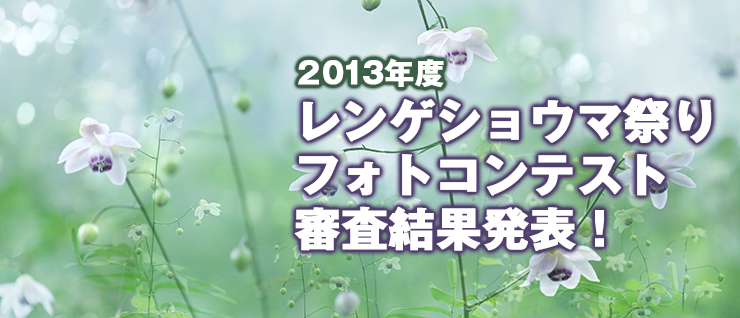 �����Q�V���E�}�Ղ�t�H�g�R���e�X�g�R�����ʔ��\�I