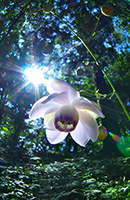 �f�W�^������@�~�s�ό������