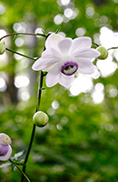 �f�W�^������@��x�o�R�S����