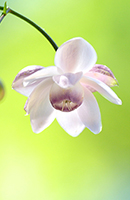 �f�W�^������@�D�G��