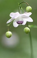 �f�W�^������@�D�G��