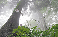 �f�W�^������@�~�s�ό������