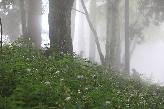 �u���z�Ȑ��E�v