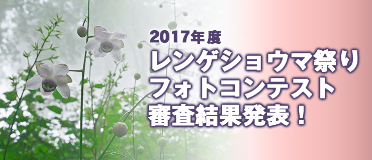 �����Q�V���E�}�Ղ�t�H�g�R���e�X�g�R�����ʔ��\�I