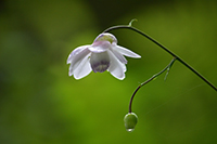 �f�W�^������@�~�s�ό������