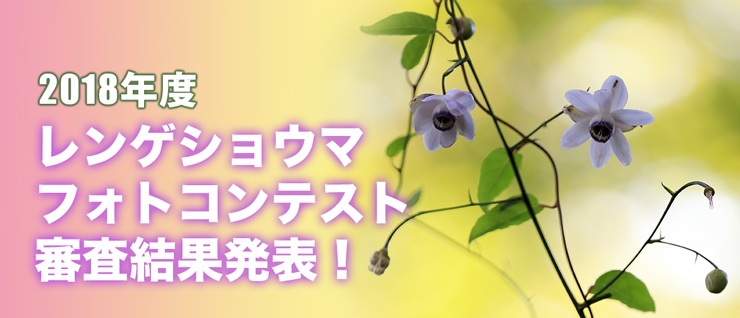 �����Q�V���E�}�Ղ�t�H�g�R���e�X�g�R�����ʔ��\�I