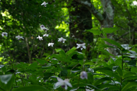 �f�W�^������@��x�o�R�S����