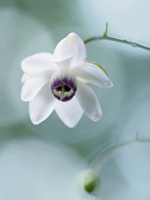 �f�W�^������@�D�G��