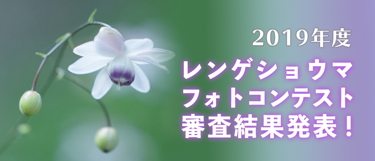 2019�N�x�����Q�V���E�}�Ղ�t�H�g�R���e�X�g�R�����ʔ��\�I