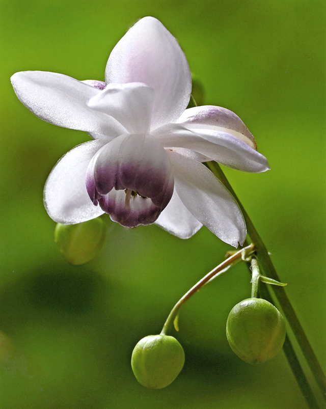 �f�W�^������@�ŗD�G��