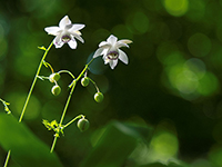 �f�W�^������@�~�s�ό������