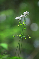 �f�W�^������@��x�o�R�S��������Џ�