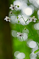 �f�W�^������@��x�R���X�g������