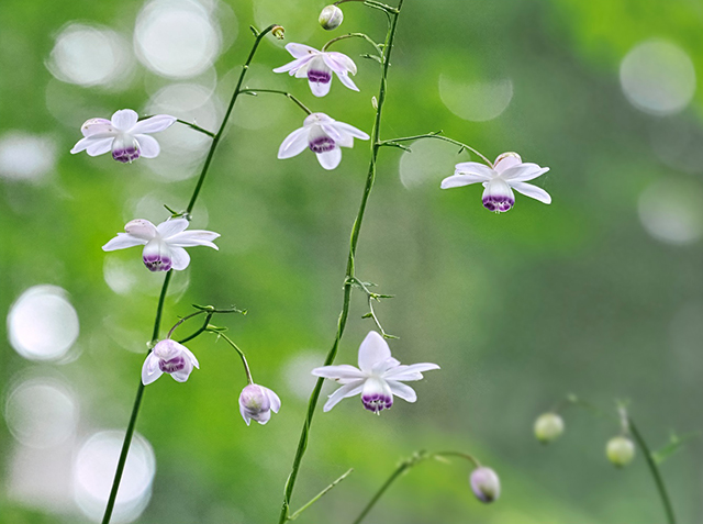 �f�W�^������@�ŗD�G��