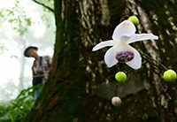 �f�W�^������@�D�G��