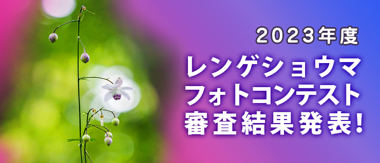 レンゲショウマ祭りフォトコンテスト審査結果発表！