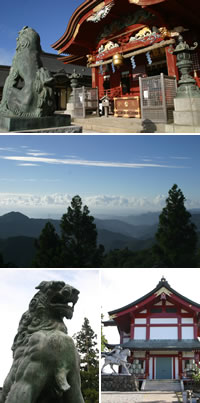 ������Ԑ_��