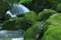 ���b�N�K�[�f��