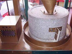 ����݂��΂��ǂ�