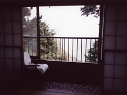 ��������̒��]