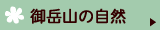 御岳山の自然