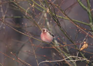 �x�j�}�V�R/��x�R