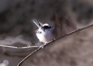 �G�i�K/��x�R