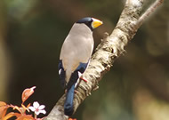 �C�J��/��x�R