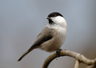 �R�K��/��x�R