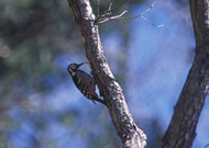 �I�I�A�J�Q��/��x�R