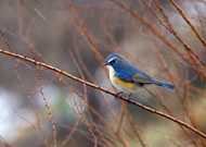 �����r�^�L/��x�R