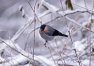 �E�\/��x�R