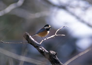 ���}�K��/��x�R